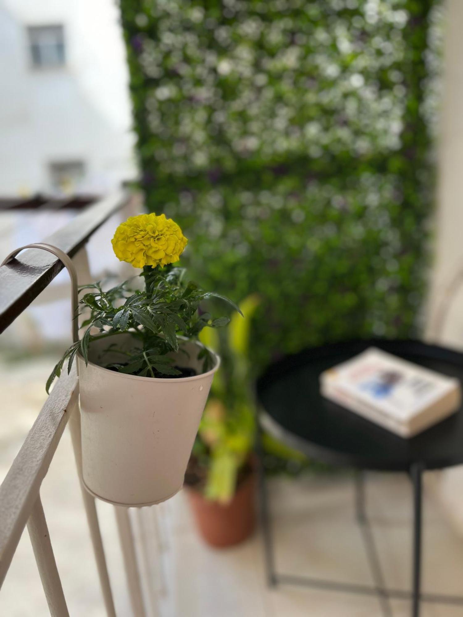 Christella Corfu Town Apartment Bagian luar foto